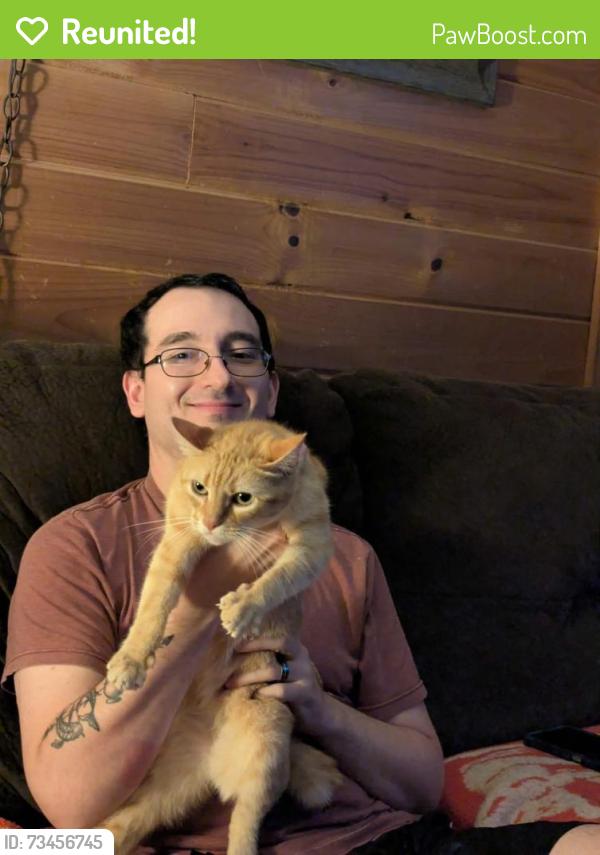 Reunited Female Cat last seen Highway 225, Crandall, GA 30711
