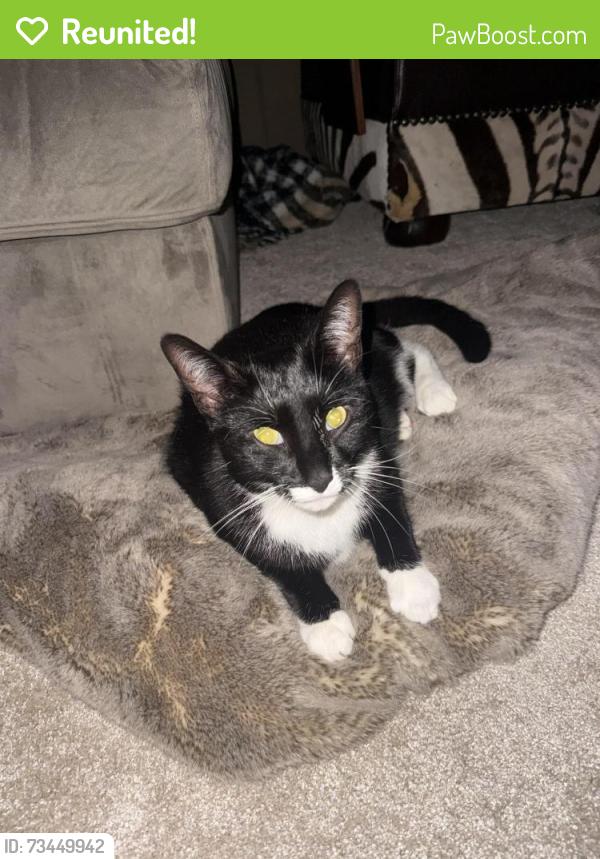 Reunited Male Cat last seen Brookdale retirement village, Charlotte, NC 28215
