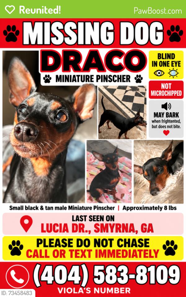Reunited Male Dog last seen Lucia Drive, Smyrna, GA 30082