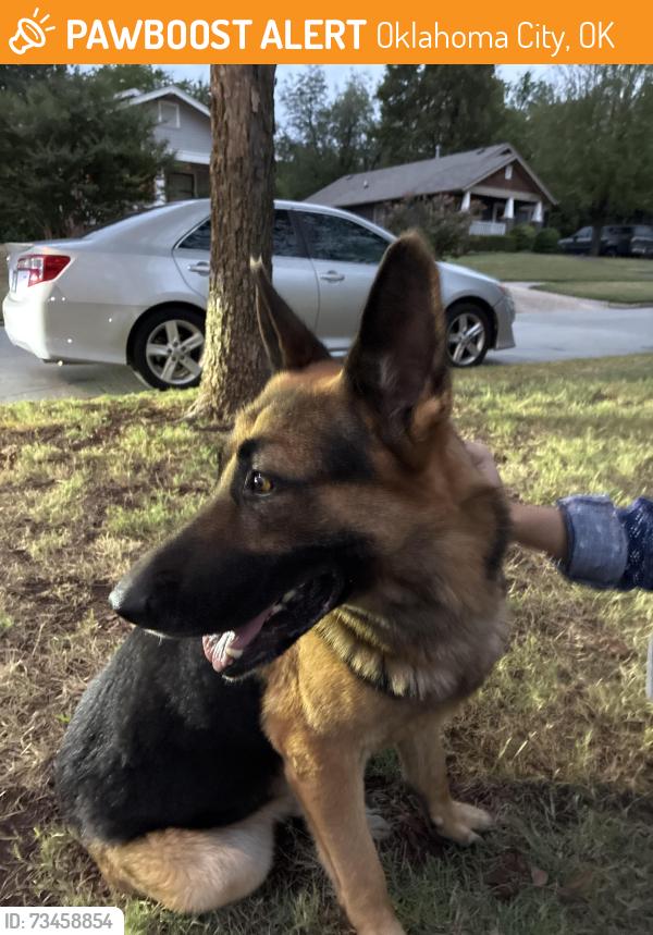 Found/Stray Male Dog last seen Nw 27th and n Dewey ave, Oklahoma City, OK 73103