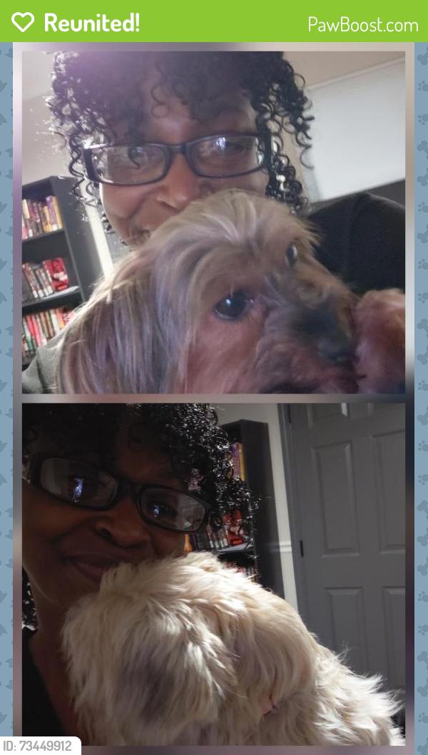 Reunited Female Dog last seen Bell's Ferry and Williams Dr., Marietta, GA 30066