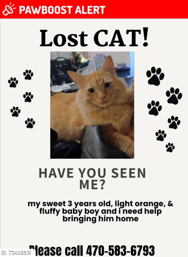 Lost Male Cat last seen Duncan Ives dr and sardis church rd, Gwinnett County, GA 30519