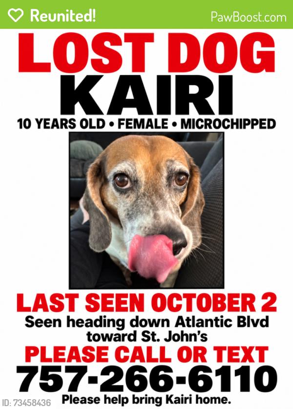 Reunited Female Dog last seen She’ll gas station between St. John’s bluff and Atlantic., Jacksonville, FL 32225
