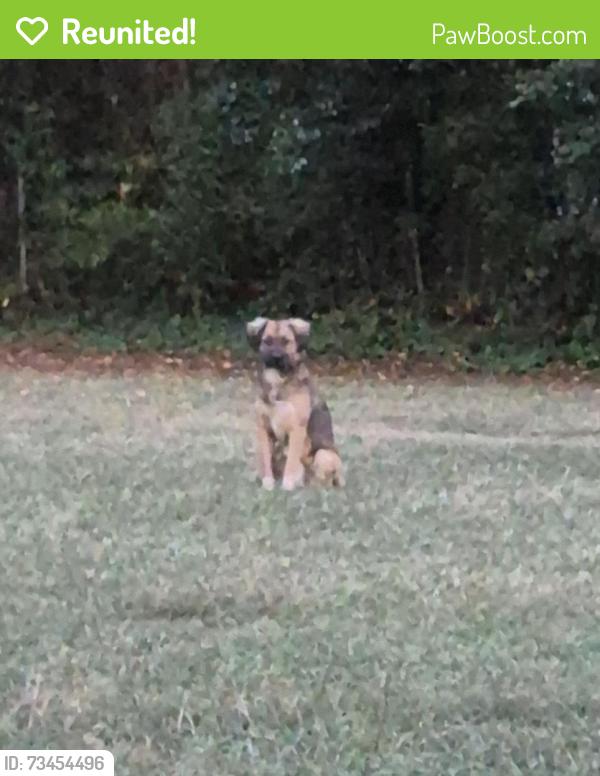 Reunited Unknown Dog last seen Ave F NE, Shannon, GA 30161, USA, Shannon, GA 30161