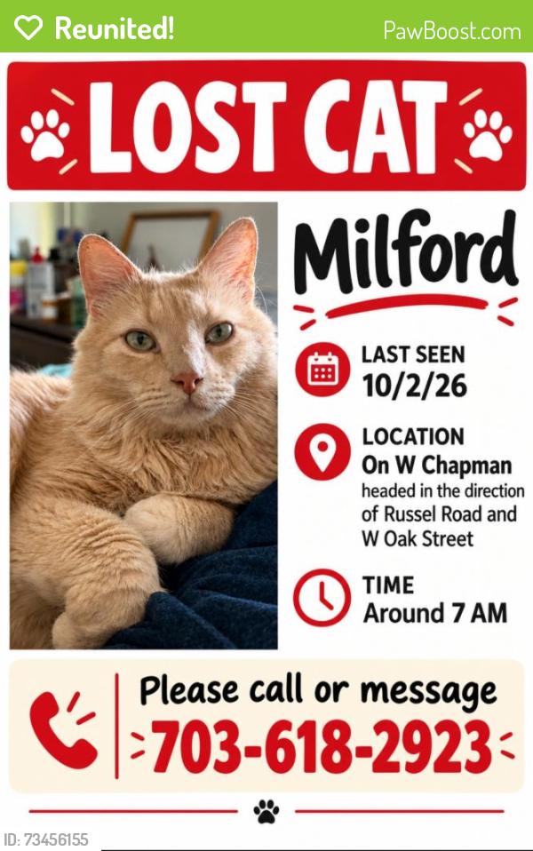 Reunited Male Cat last seen Russell, Alexandria, VA 22301