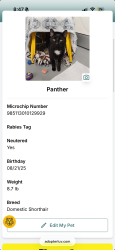 Lost Male Cat last seen Near FGCU housing 108D, Fort Myers, FL 33965