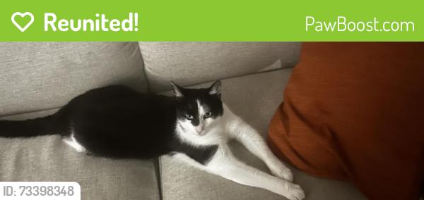 Reunited Unknown Cat last seen Chetwood, Greater Manchester, England M8