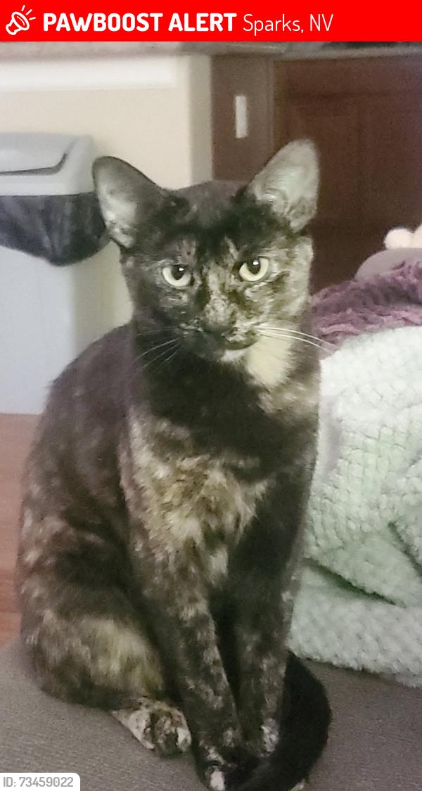 Lost Female Cat last seen Los altos and sparks Blvd, Sparks, NV 89436