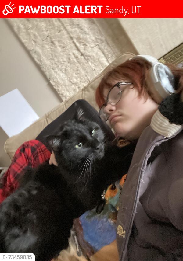 Lost Male Cat last seen Near e, Sandy, UT 84092