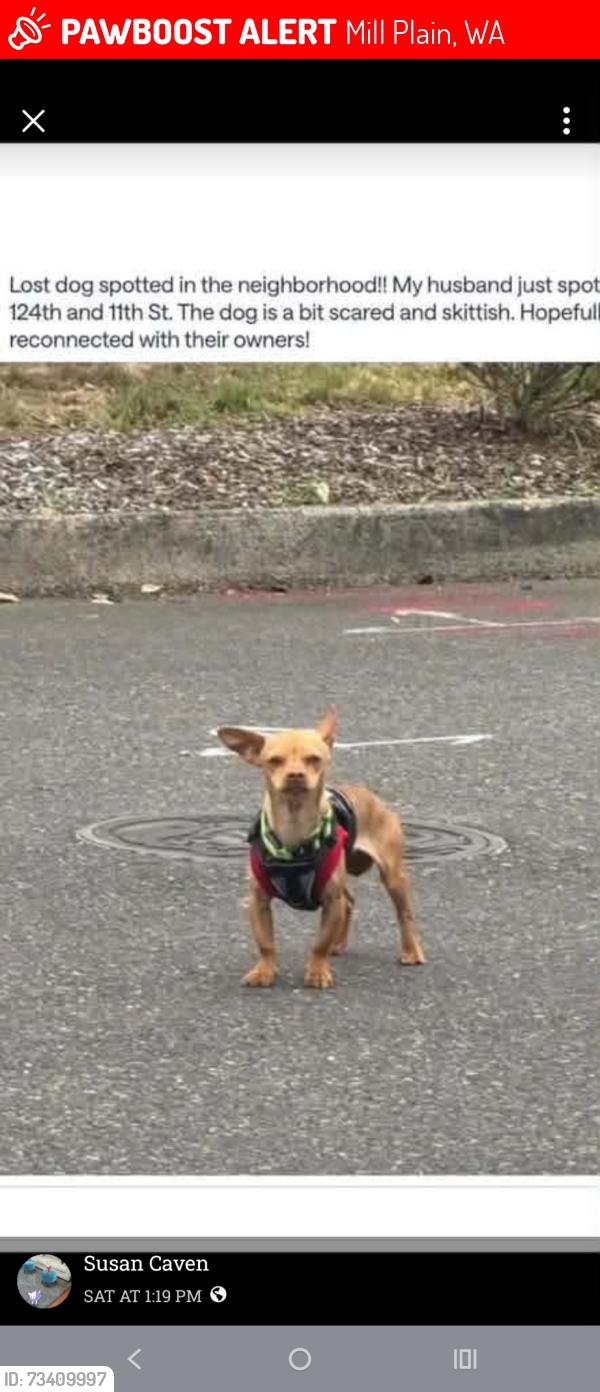 Lost Male Dog last seen Ne 112th 9th st, Mill Plain, WA 98684
