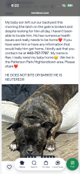 Lost Male Dog last seen Jefferson Street and Streeper street, Baltimore, MD 21224