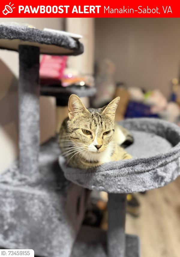 Lost Female Cat last seen Pasábamos por ahí y bajé y se soltó, Manakin-Sabot, VA 23103
