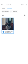 Lost Male Cat last seen his home on Rancho Vista Rd. close to Alessandro & Alexandra. star car wash would be the Landmark, Riverside, CA 92508