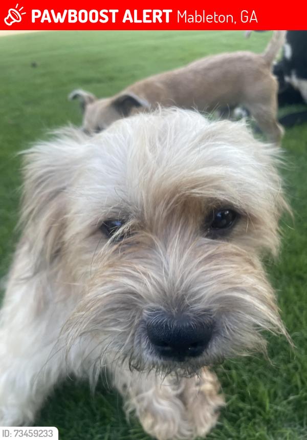 Lost Male Dog last seen South Gordon rd sw, Mableton, GA 30126