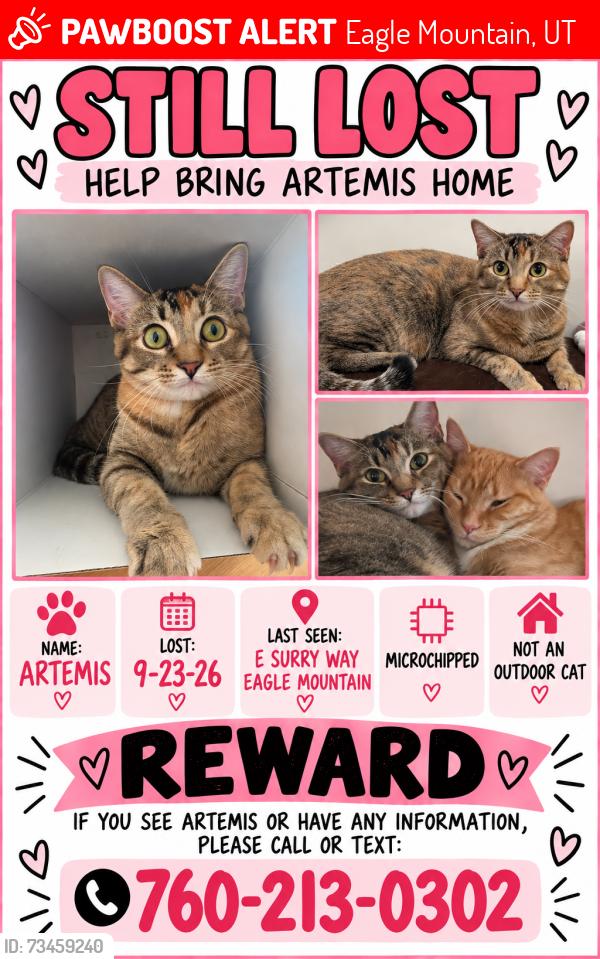 Lost Female Cat last seen Near e Surry way eagle mountain, Eagle Mountain, UT 84005