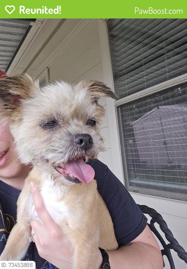 Reunited Female Dog last seen Near Bentonite Blvd, Baytown, TX 77521, USA, Baytown, TX 77521