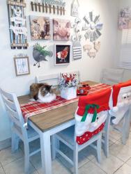 Lost Male Cat last seen Pine and Lil Ave NE, Rio Rancho, NM 87144