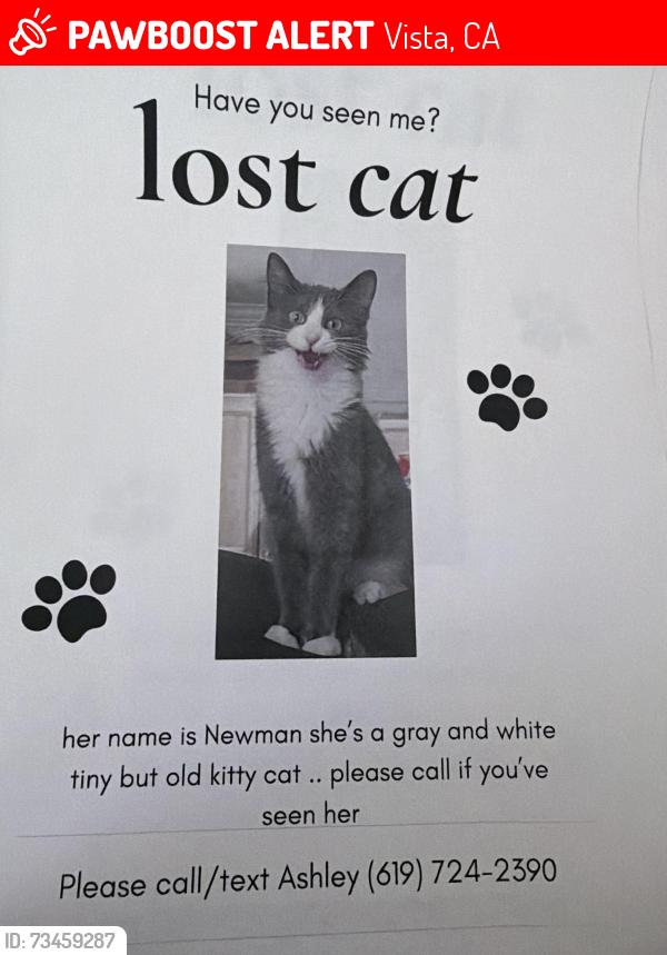 Lost Female Cat last seen Wild acres, Vista, CA 92084