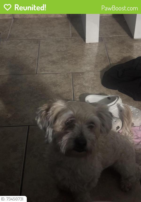 Reunited Male Dog last seen Sheehy, R st, Merced, CA 95341