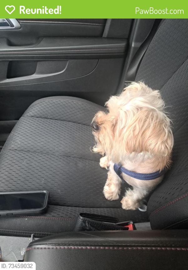 Reunited Male Dog last seen Long Dr, Candler-McAfee, GA 30032
