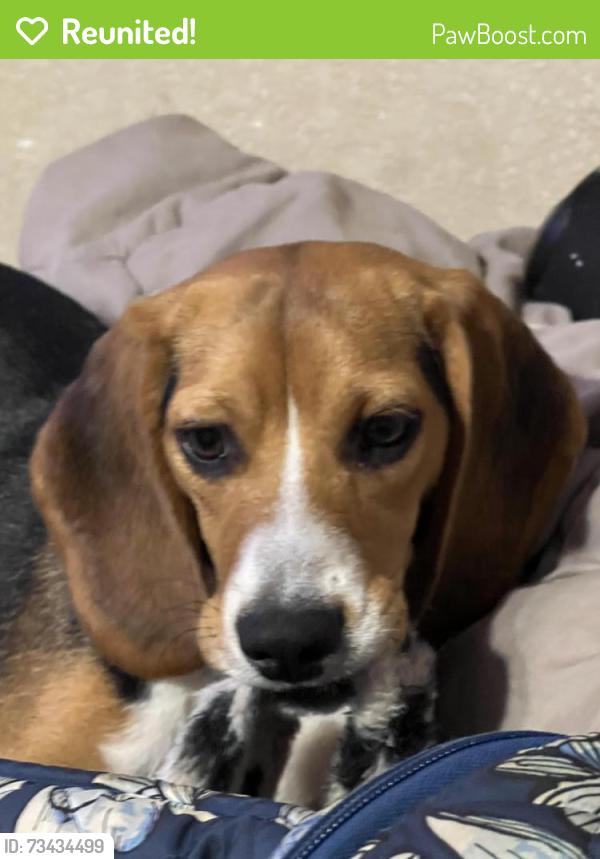Reunited Female Dog last seen Oxnard ln & friendswood link (Oxnard park), Friendswood, TX 77546