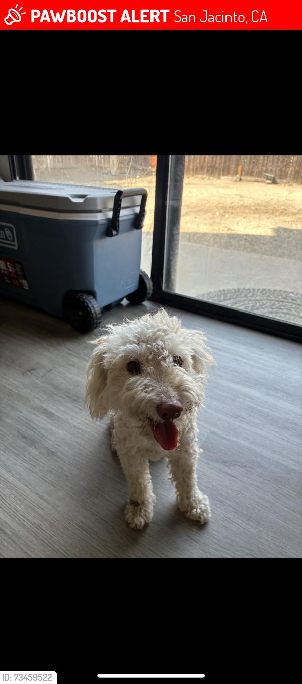 Lost Male Dog last seen Baker st and Dover Ct, San Jacinto, CA 92583