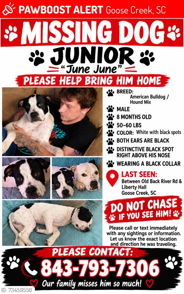 Lost Male Dog last seen Liberty Hall rd, Goose Creek, SC 29445
