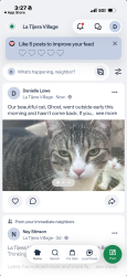 Lost Female Cat last seen Hillsdale and Beach, Inglewood, CA 90302