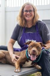 Shelter Stray Male Dog last seen Near Gresham Rd S E Atlanta, 30316, 30316, GA, 3280 Chamblee Dunwoody Rd, Chamblee, GA 30341, USA