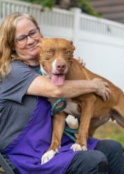Shelter Stray Female Dog last seen , 30341, GA, 3280 Chamblee Dunwoody Rd, Chamblee, GA 30341, USA