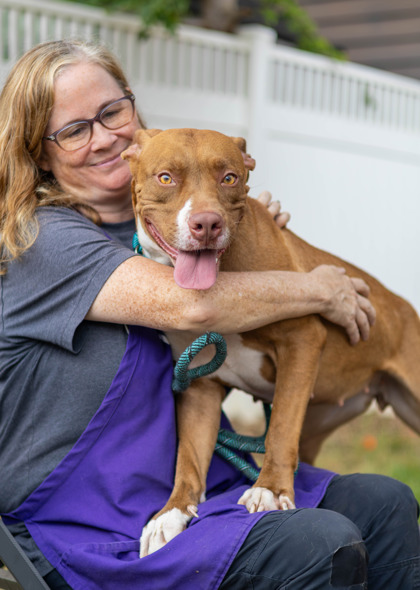 Shelter Stray Female Dog last seen , 30341, GA, 3280 Chamblee Dunwoody Rd, Chamblee, GA 30341, USA