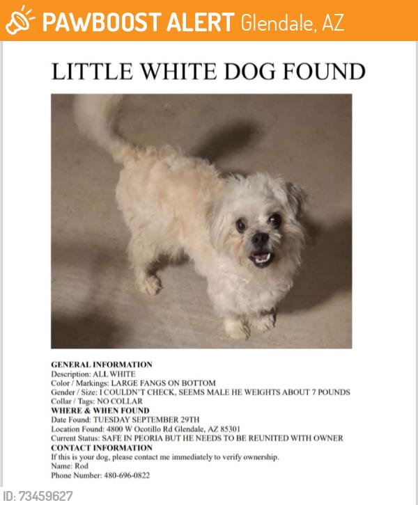 Found/Stray Unknown Dog last seen W Ocotillo & 48th Ave, Glendale, AZ 85301