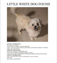 Found/Stray Unknown Dog last seen W Ocotillo & 48th Ave, Glendale, AZ 85301