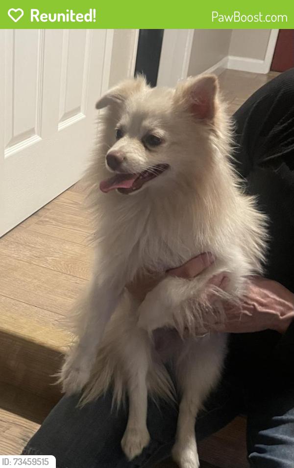 Reunited Male Dog last seen Dekinger, Concord, CA 94521