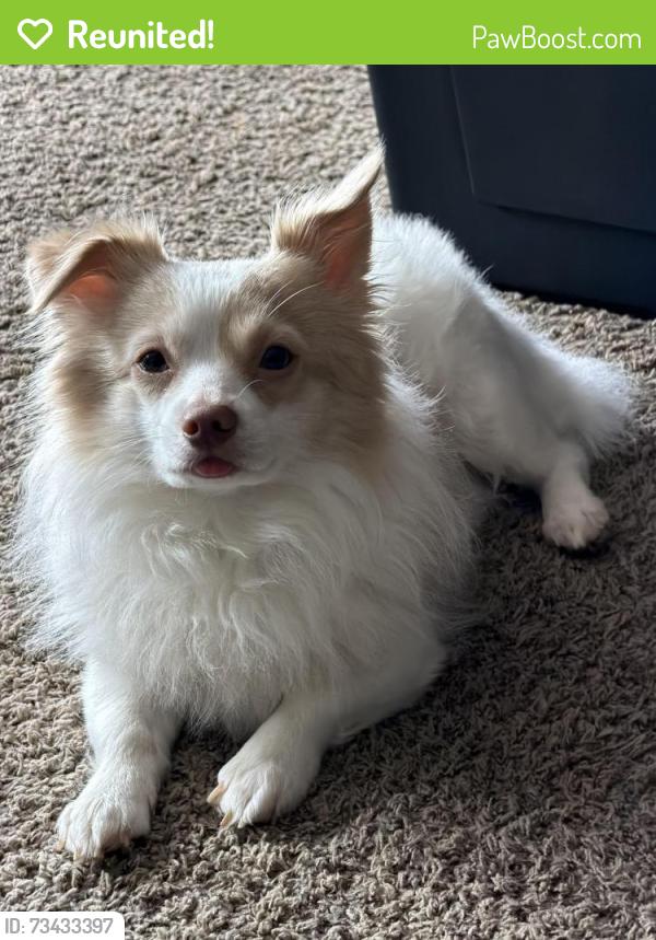 Reunited Male Dog last seen Jamacha, San Diego, CA 92114