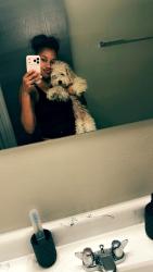 Lost Male Dog last seen East Charleston, Las Vegas, NV 89101
