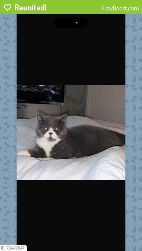 Reunited Male Cat last seen Coventry road, Solihull, England 