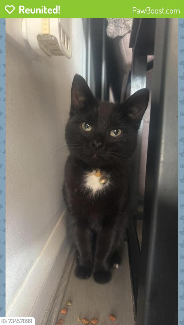 Reunited Male Cat last seen Calderdale drive, Long Eaton, England 