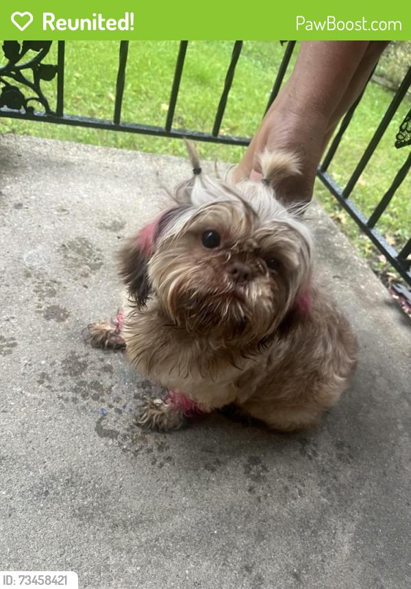 Reunited Female Dog last seen Smith & Berkeley, Columbus, OH 43207