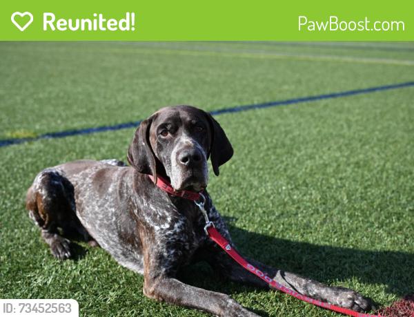 Reunited Male Dog last seen USA Lacrosse Headquarters, Sparks Glencoe, MD 21152