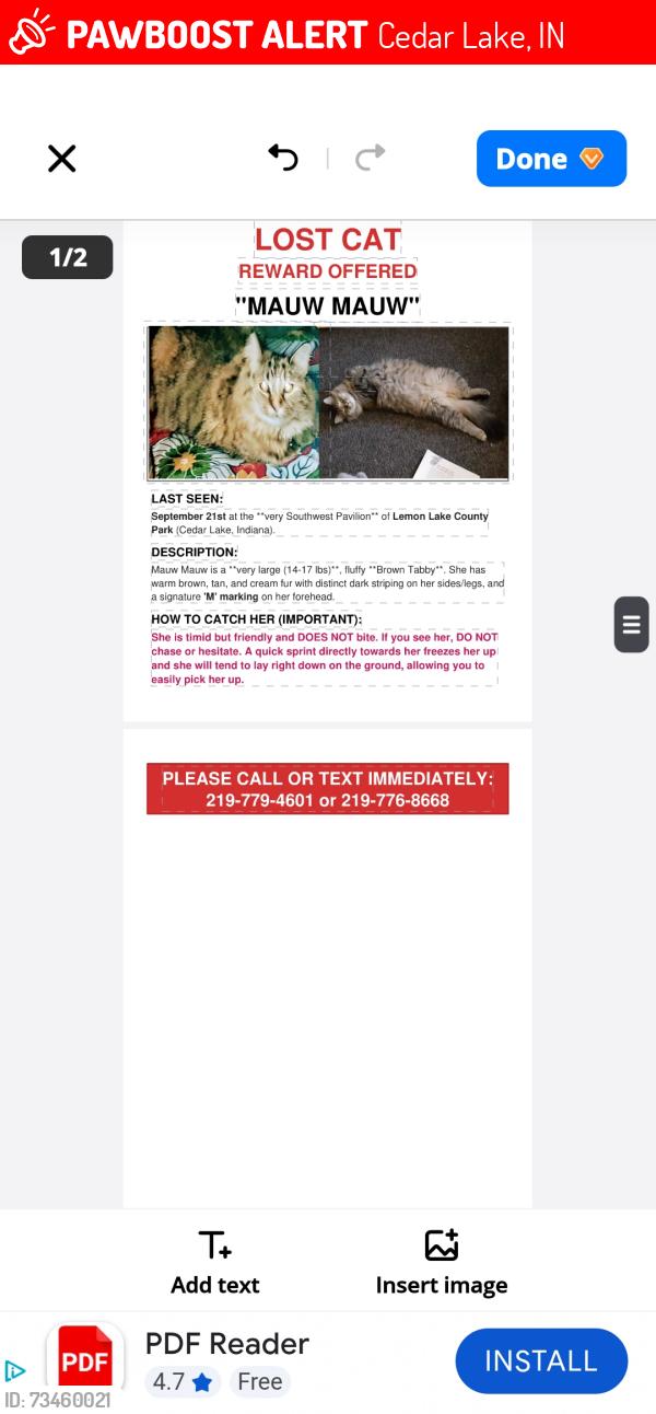 Lost Female Cat last seen Lemon lake county park, Cedar Lake, IN 46303