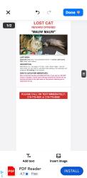 Lost Female Cat last seen Lemon lake county park, Cedar Lake, IN 46303