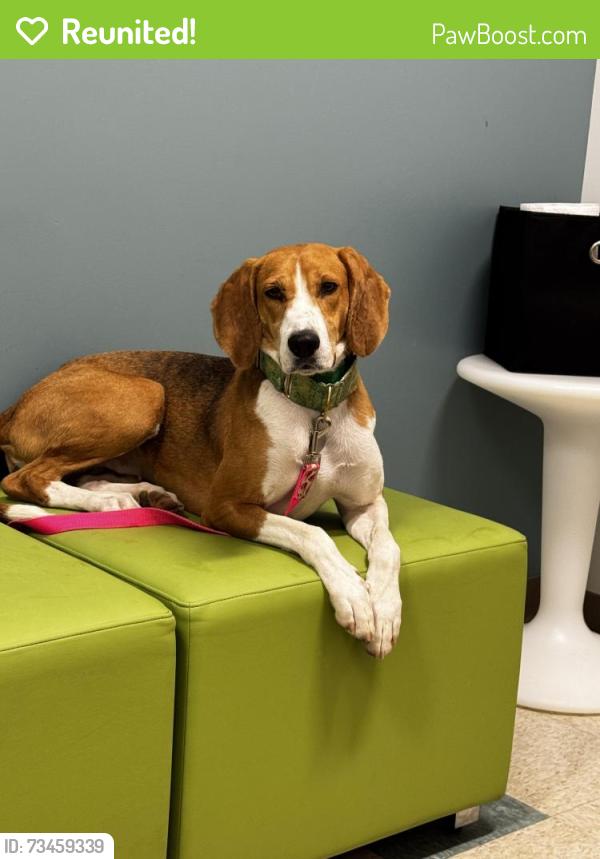 Reunited Female Dog last seen River Otter Ct, Chesterfield, VA 23838