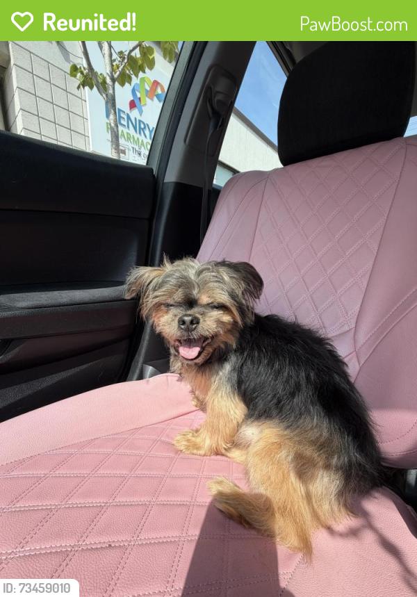 Reunited Male Dog last seen Morris ave and Washington st, Trenton, NJ 08611