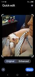 Lost Female Dog last seen Near and mingo, Tulsa, OK 74145