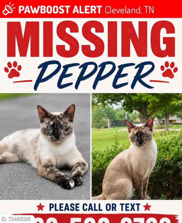 Lost Female Cat last seen Peerless Rd NW closer to Publix, Cleveland, TN 37312