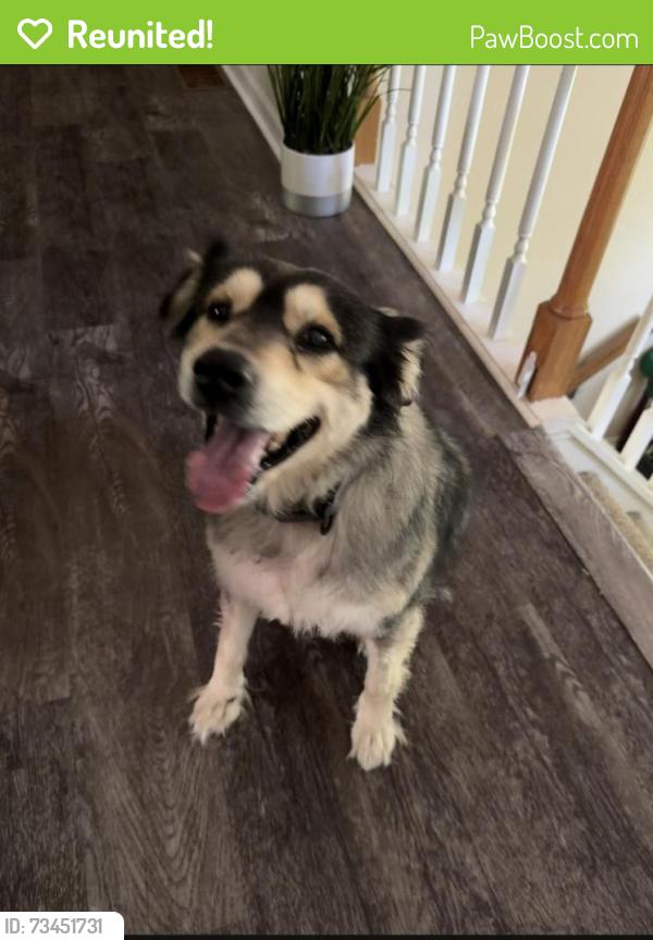 Reunited Female Dog last seen Coco was last seen around 5pm places near by are Buford Dam, Little Ridge lake, Cumming, GA 30041