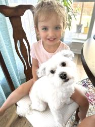 Lost Female Dog last seen Davis st, Dallas, TX 75208