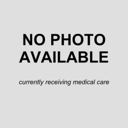 Shelter Stray Male Dog last seen BRONTE, 4710 TX-151, San Antonio, TX 78227, USA