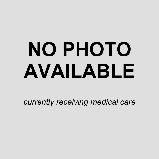 Shelter Stray Male Dog last seen BRONTE, 4710 TX-151, San Antonio, TX 78227, USA
